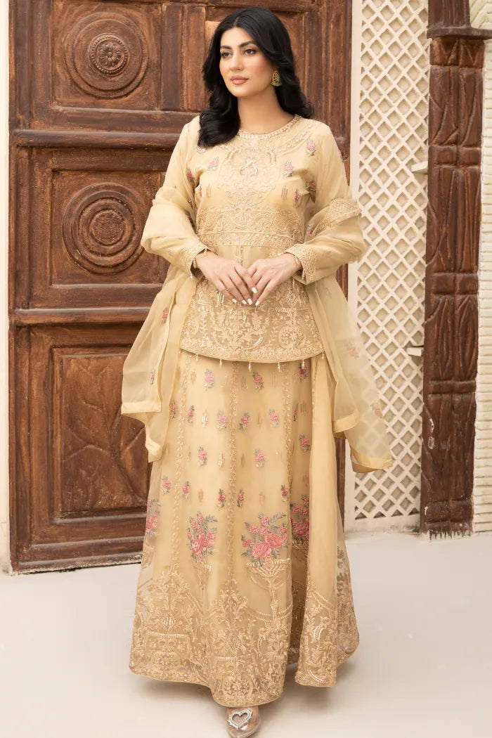 Pakistani Women’s Party Wear Lehenga – Organza, Nude | Designer Rack