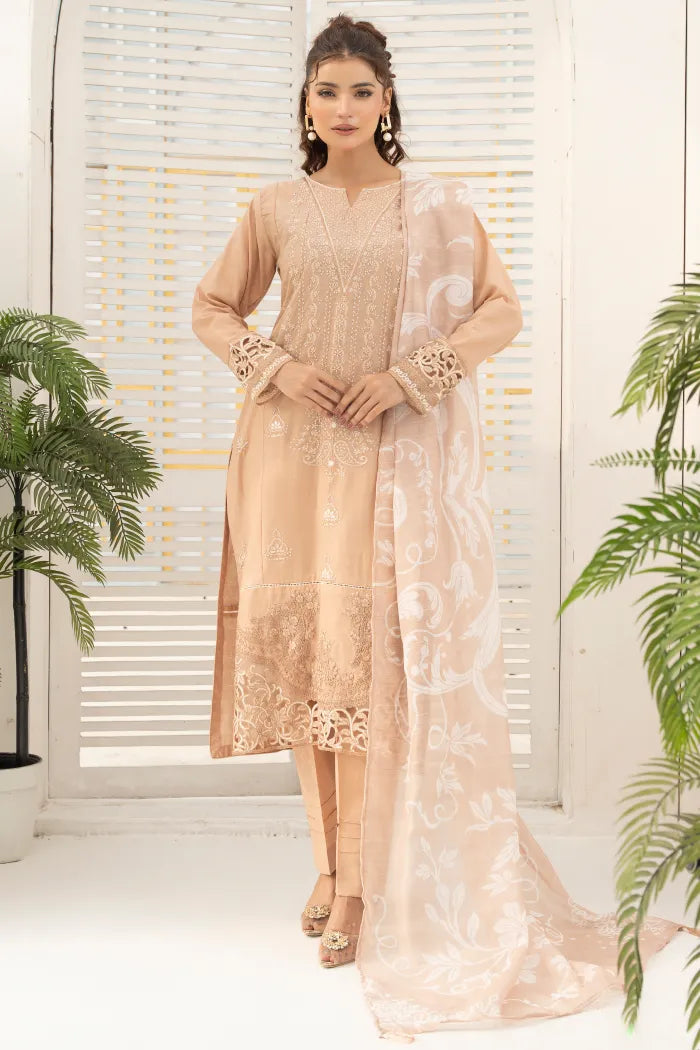 Pakistan Ladies Suits (11)