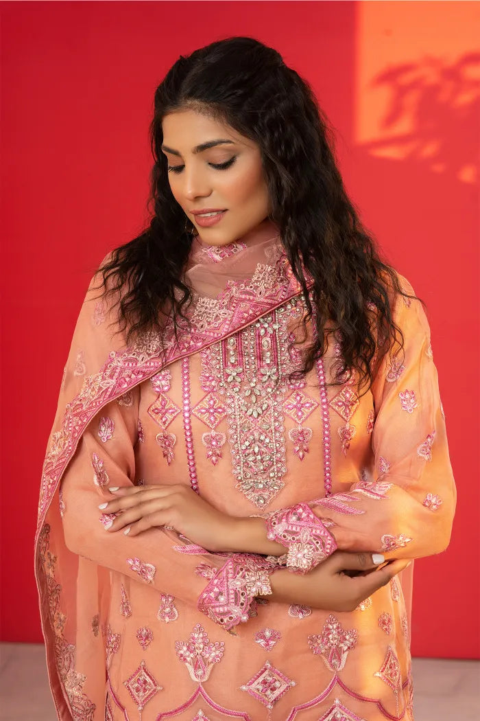 Ready to Wear Fancy Women Wear-1441-Pakistani Suits