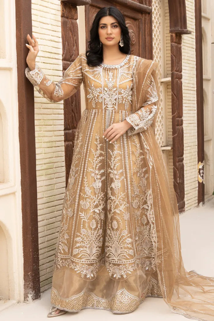 Pakistani Women’s Party Wear Maxi Dress – Organza, Beige | Designer Rack