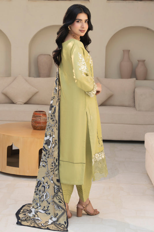Pakistani Women’s Casual Winter Wear 3-Piece Embroidered  Suit – Dhanak, Light Green | 1478 | Designer Rack