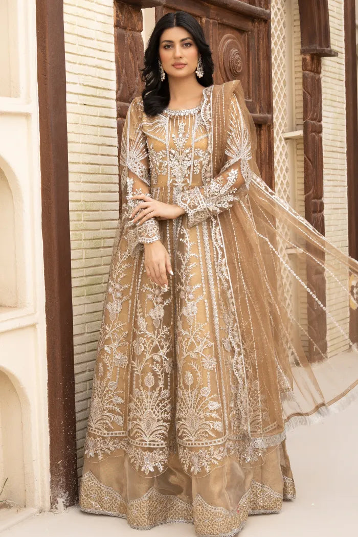 Pakistani Women’s Party Wear Maxi Dress – Organza, Beige | Designer Rack