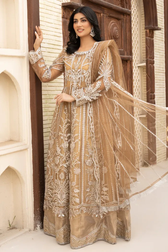 Pakistani Women’s Party Wear Maxi Dress – Organza, Beige | Designer Rack