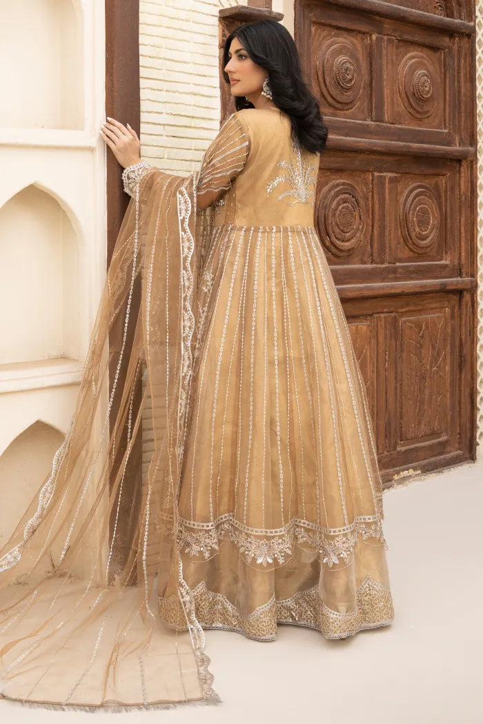 Pakistani Women’s Party Wear Maxi Dress – Organza, Beige | Designer Rack