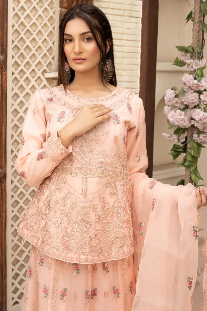 Pakistani Women’s Party Wear Lehenga – Organza, Pink | Designer Rack