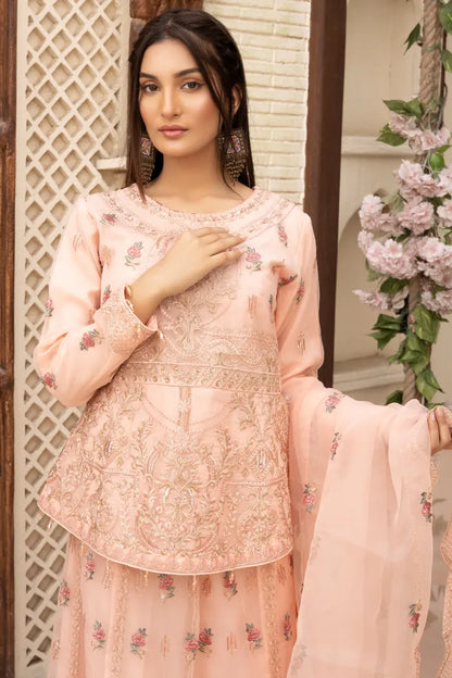 Pakistani Women’s Party Wear Lehenga – Organza, Pink | Designer Rack
