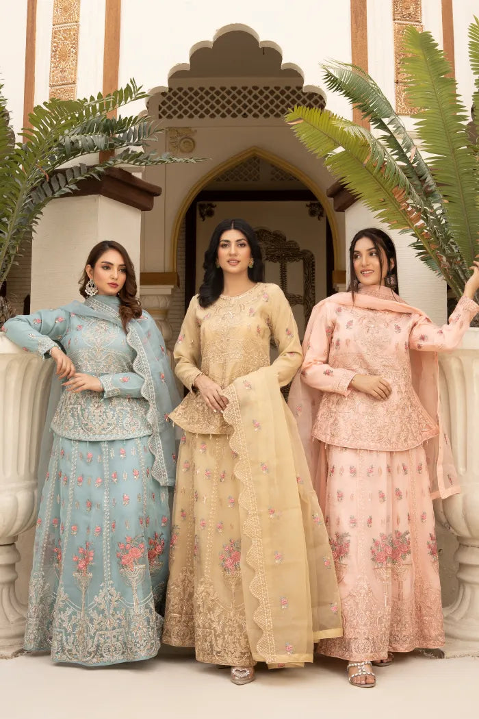 Pakistani Women’s Party Wear Lehenga – Organza, Nude | Designer Rack