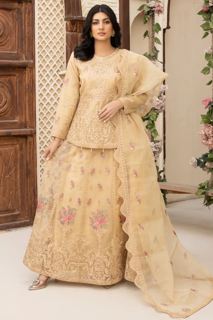 Pakistani Women’s Party Wear Lehenga – Organza, Nude | Designer Rack
