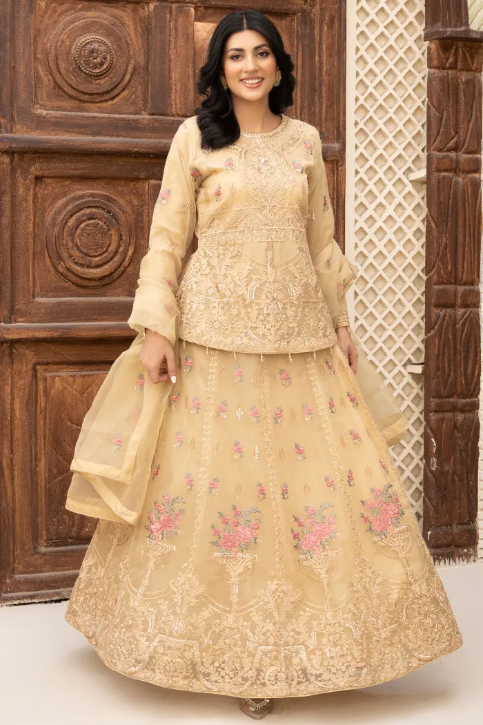 Pakistani Women’s Party Wear Lehenga – Organza, Nude | Designer Rack