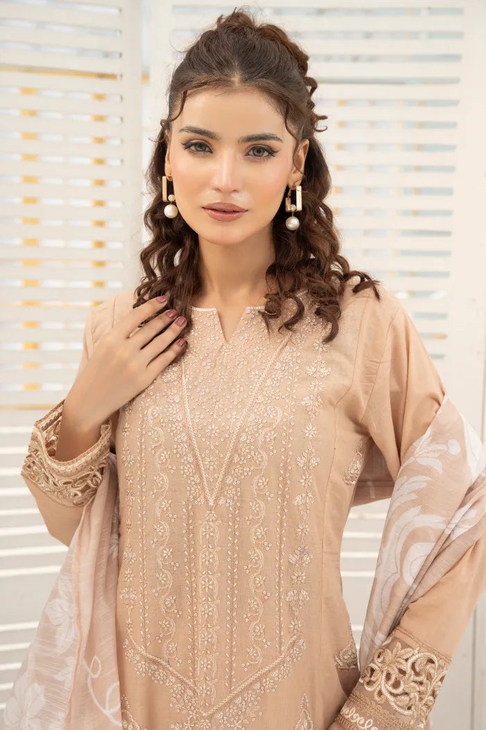 Pakistan Ladies Suits (11)