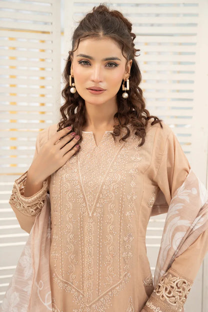 Pakistan Ladies Suits (11)