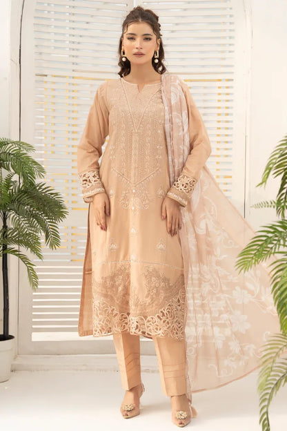 Pakistan Ladies Suits (11)