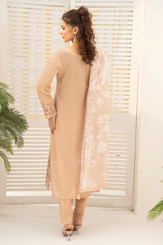 Pakistan Ladies Suits (11)