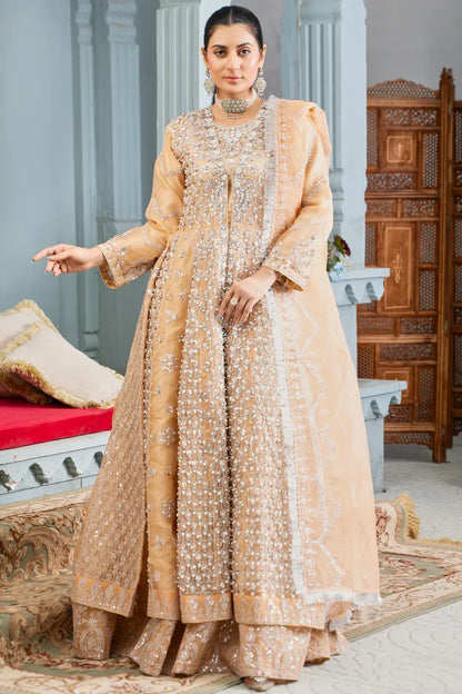 Fancy Maxi Dress Afroze 1464 Peach