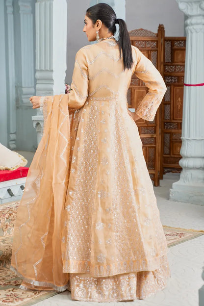 Fancy Maxi Dress Afroze 1464 Peach