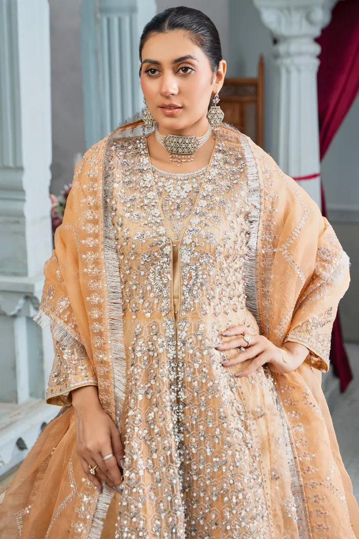 Fancy Maxi Dress Afroze 1464 Peach